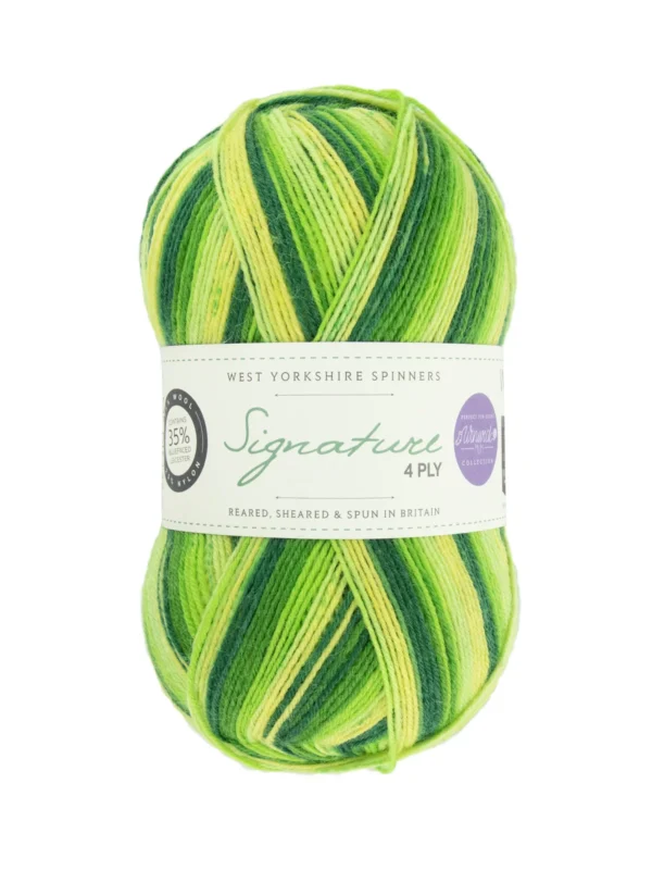 West Yorkshire Spinners Signature 4ply - Winwick Mum Collection 882 Spring Green