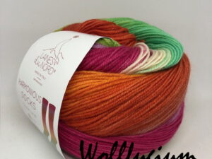 Laines du Nord Sock Line 4-fach Harmonious Socks 01
