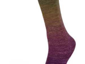Harmonious_Socks_03s