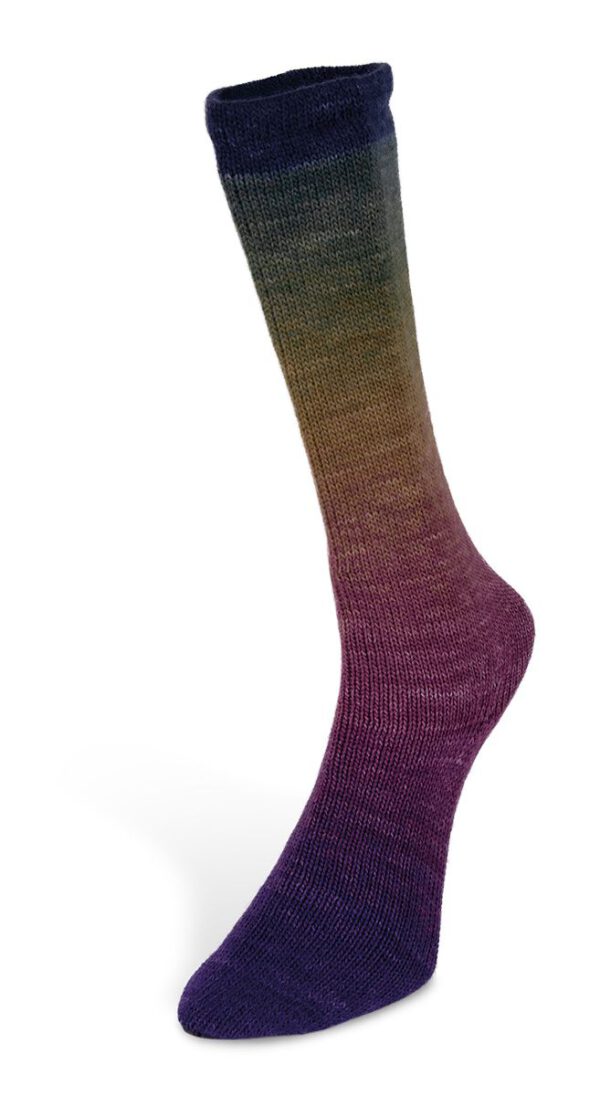 Harmonious_Socks_03s