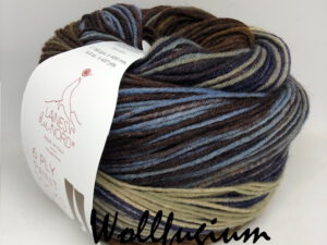 Laines du Nord Sock Line 6 ply Paint Socks 01