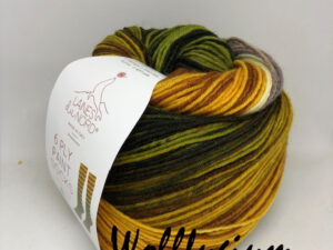 Laines du Nord Sock Line 6 ply Paint Socks 02