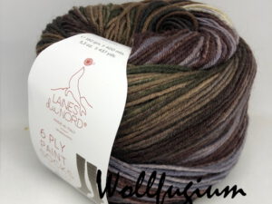 Laines du Nord Sock Line 6 ply Paint Socks 05