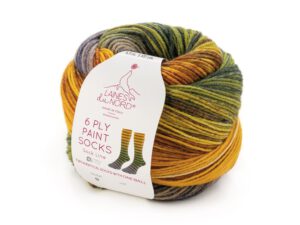 Laines du Nord 6 ply Paint Socks