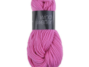 Wind_und_Wetter_9575