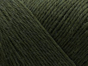 AW105